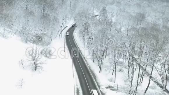 汽车在森林中的冬季乡村道路上行驶视频的预览图
