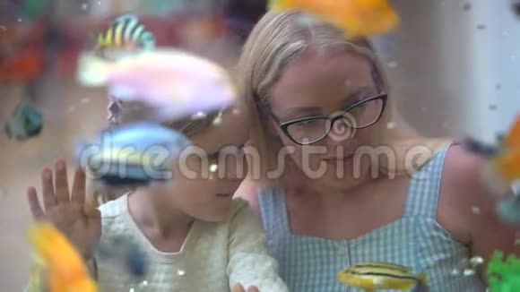 孩子看着小女孩在购物中心的水族馆里看鱼宠物店妈妈和她的小女儿看海视频的预览图