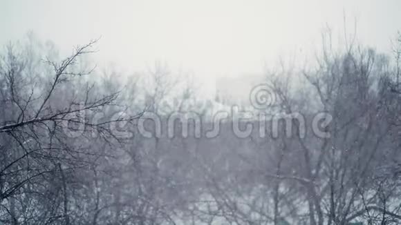 城市里下着大雪在慢动作中具有长波效应的射击视频的预览图