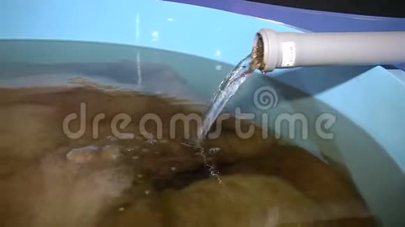 水培系统的水处理和过滤视频的预览图