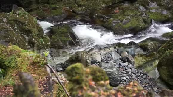 流经爱尔兰岩石的小河视频的预览图