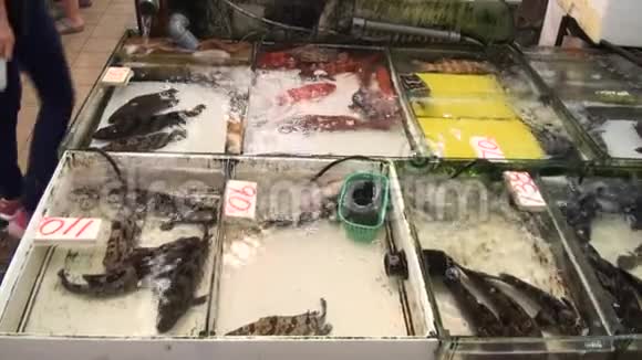 在香港出售鱼类街市缤纷街头美食视频的预览图