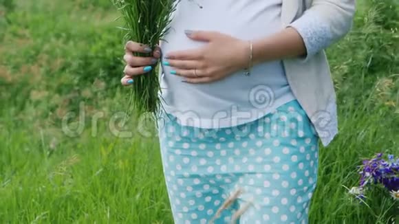 一位年轻的孕妇拿着一束野花走在草地上的画像视频的预览图