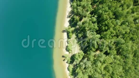 美丽的热带海滩空中鸟海岸线的视野青色的海洋树木视频的预览图