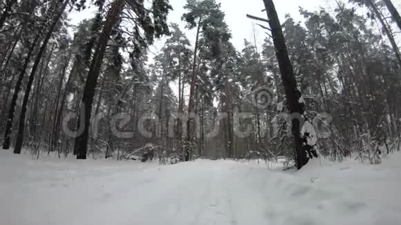 冬天森林里下雪雪地里的乡间小路视频的预览图