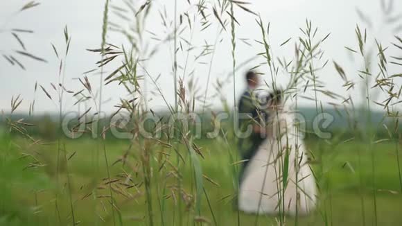 新娘的剪影穿着漂亮的白色连衣裙新郎在草地上跳舞一对相爱的夫妇的团队合作开心快乐视频的预览图