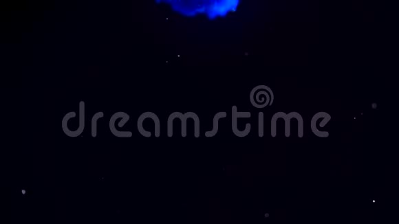 墨水在水里蓝色光泽油漆在水中反应在黑色背景下形成抽象的云层可用作视频的预览图