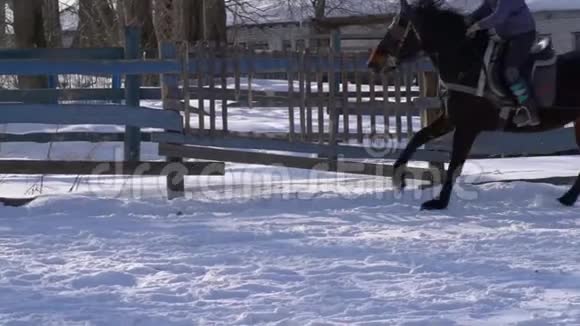 下马一个女孩骑着马在驰骋一匹马正用绳子拖着一个滑雪者一个滑雪者骑在船上视频的预览图