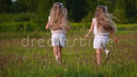 夏天孩子们在田野里嬉笑打闹视频的预览图