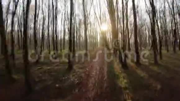 FPV无人驾驶飞机在日落时分飞越秋林视频的预览图