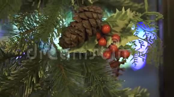 来自杉树的圣诞花环玻璃窗户上有圆锥形和红色冬青浆果合拢新年装饰绿视频的预览图