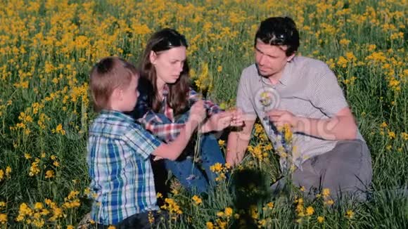 妈妈爸爸和儿子一起玩黄花坐在草地上家庭散步视频的预览图