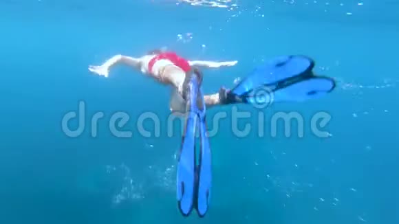 热带海洋潜水的潜水者水下景观视频的预览图
