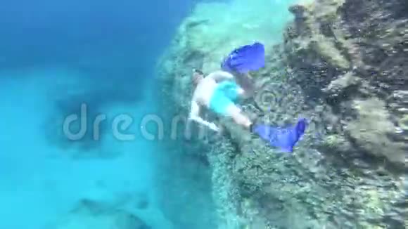热带海洋潜水的潜水者水下景观视频的预览图