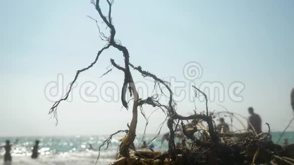 环保运动的概念特写镜头在暴风雨中大海抛上岸的一个障碍背景资料视频的预览图