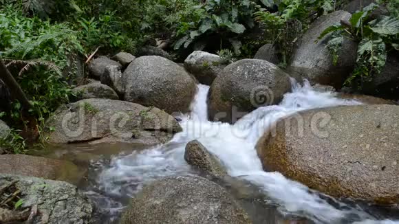 雨林瀑布视频的预览图