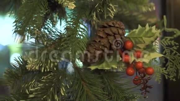 绿枝圣诞树的圆锥形和红色浆果在玻璃窗上关闭新年装饰杉木花圈圆锥形视频的预览图