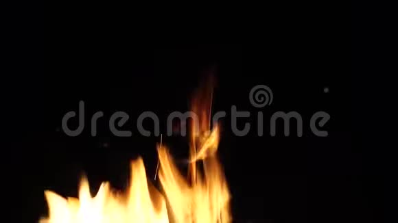 火焰燃烧在晚上4K视频的预览图