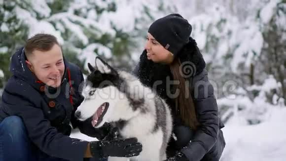 一男一女抱着一只西伯利亚犬坐在冬林里微笑着看着对方看着对方视频的预览图