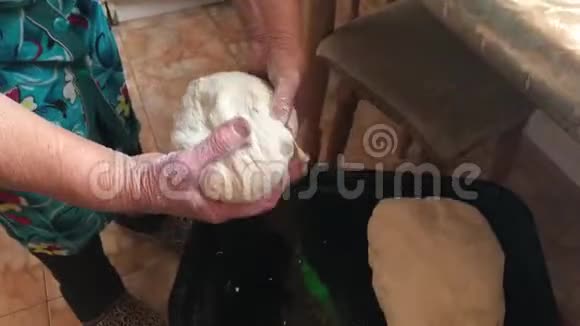一位老太太揉面包面团放在烤盘上你可以看到她的手在工作视频的预览图