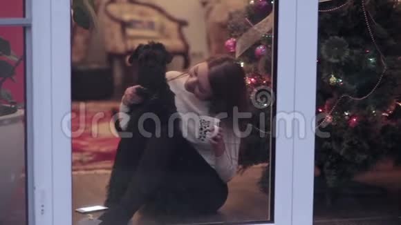 带着黑狗的女孩在窗外看圣诞视频的预览图