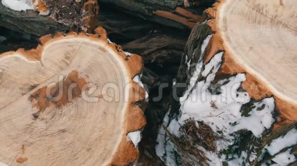 美丽的不寻常的切割树干形状的心脏与其他树干躺在外面的冬天薪柴视频的预览图