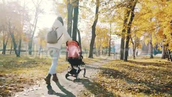妈妈带着婴儿车在秋天公园散步爱和家庭观念视频的预览图