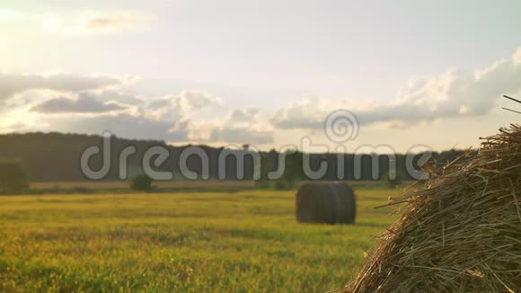 作物小麦或黑麦田用干草草捆收获农业的足迹视频的预览图