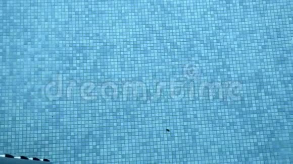清水中游泳池马赛克瓷砖底景视频的预览图