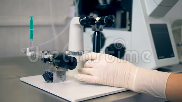 一位科学家在实验室用显微镜近距离观察视频的预览图