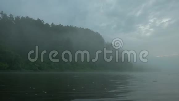森林中清晨的浓雾视频的预览图