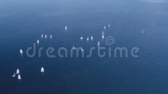 许多帆船在公海航行体育导航比赛自由之旅相关风视频的预览图