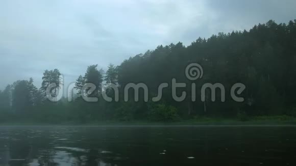 森林中清晨的浓雾视频的预览图