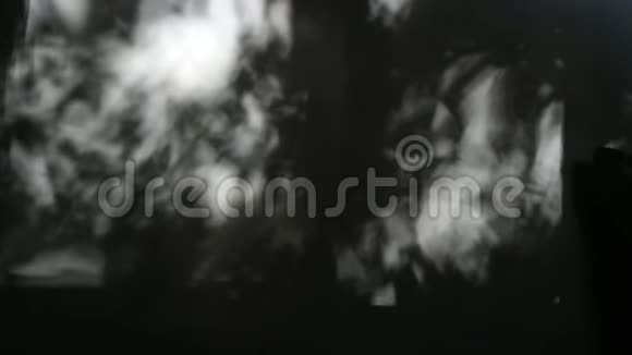 白墙背景上叶片的抽象阴影视频的预览图