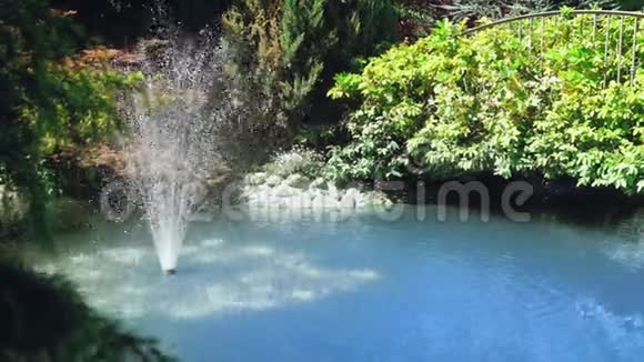 特写镜头在公园的一个小池塘里喷一个喷泉里面有树木绿草视频的预览图