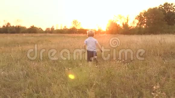 日落时分小男孩在田野上奔跑慢悠悠视频的预览图
