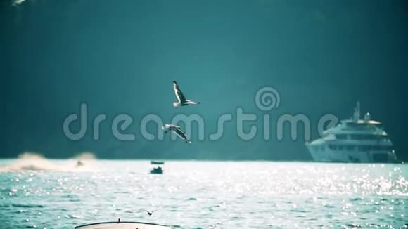 在海上海鸥在模糊的豪华游艇上缓慢飞行视频的预览图