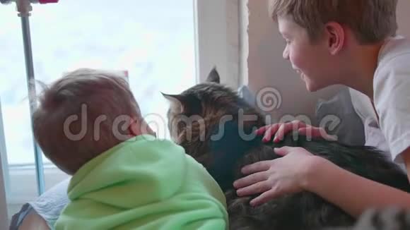 两个带猫的孩子躺在地板上看着窗外宠物和孩子们之间的友谊视频的预览图