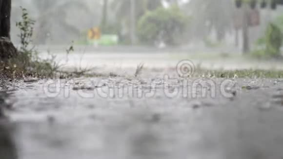 热带雨林中绿色丛林的全景绿丛林和棕榈树雾和热带雨视频的预览图