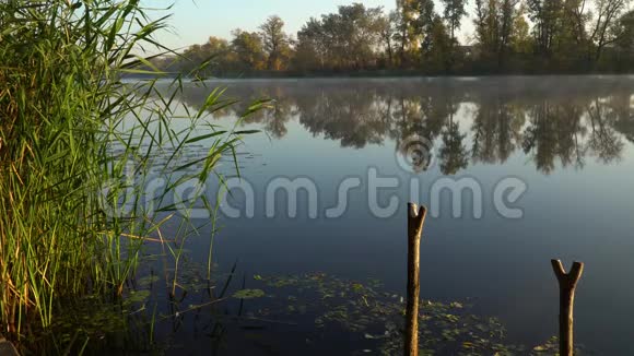 河岸上的日出有芦苇和鱼竿架的景观视频的预览图