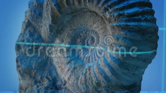 激光束扫描古代贝壳化石视频的预览图