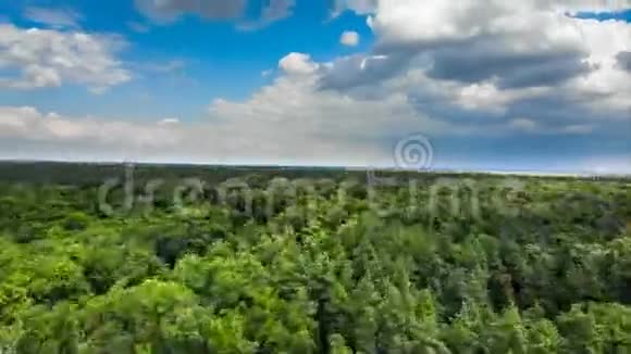 蓝天中云团在绿林上空的超垂空中视野视频的预览图