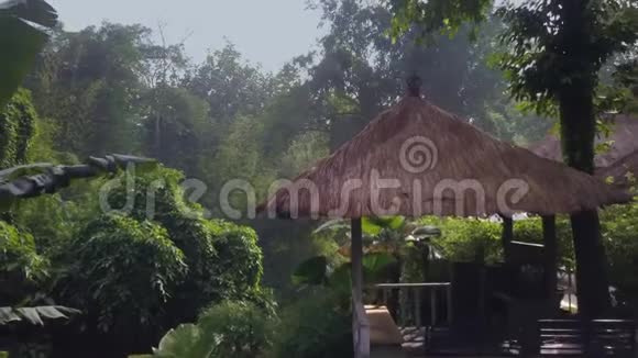 丛林中部热带酒店露天游泳池高角度拍摄视频的预览图