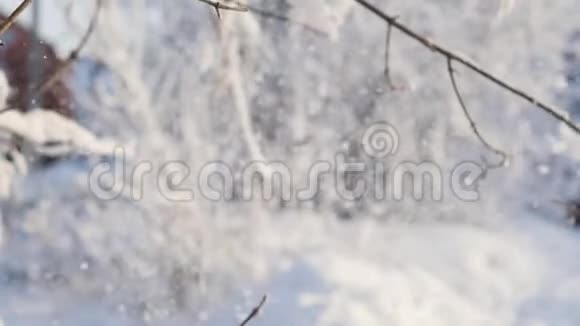 有大信封的儿童自然冬季背景快乐的孩子们在雪中一起走在杉树附近视频的预览图