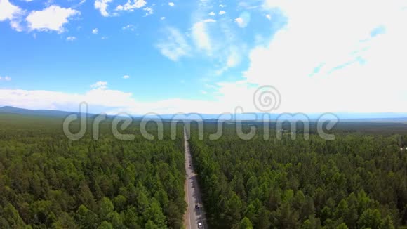 从森林中俯瞰公路鸟s眼观美丽的风景视频的预览图