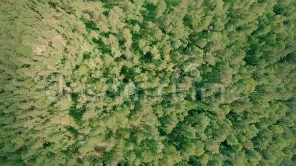 空中无人机飞过森林无人机上升并旋转视频的预览图