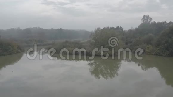 在斯洛文尼亚乡村美丽的秋日清晨从森林中一个清澈的倒影湖中射出空中飞盘视频的预览图