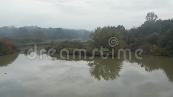 在斯洛文尼亚乡村一个美丽的秋天早晨无人驾驶飞机向后拍摄了森林中一个清澈的倒影湖视频的预览图
