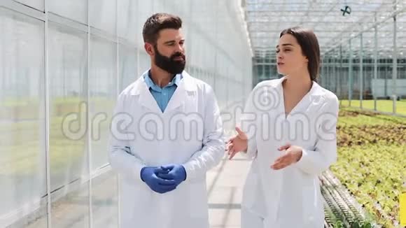 两个穿着实验室长袍的研究人员在温室里走来走去他们讨论做生意的成功视频的预览图