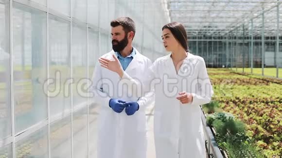 两个穿着实验室长袍的研究人员在温室里走来走去他们讨论做生意的成功视频的预览图